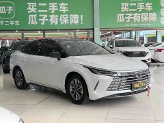 BYD 05 Edition DM-i 55KM Luxury Version - фото 3