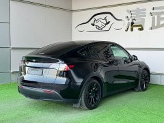Tesla Model Y Edition - фото 15