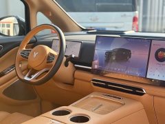Voyah PHEV AWDPremium Edition - фото 15