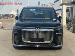 Voyah PHEV AWDPremium Edition - фото 2