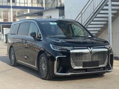 Voyah PHEV AWDPremium Edition - фото 3