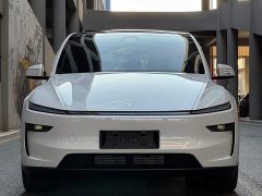 Tesla Model Y Long Range Edition - фото 2