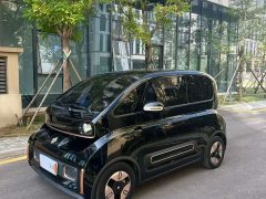 BYD KiWi EV Edition - фото 1