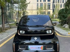 BYD KiWi EV Edition - фото 2