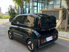 BYD KiWi EV Edition - фото 9