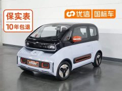 BYD KiWi EV - фото 1