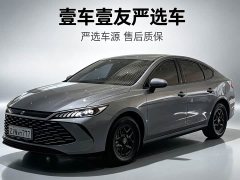 BYD PLUS DM-i Smart Drive Edition 55KM Version - фото 1