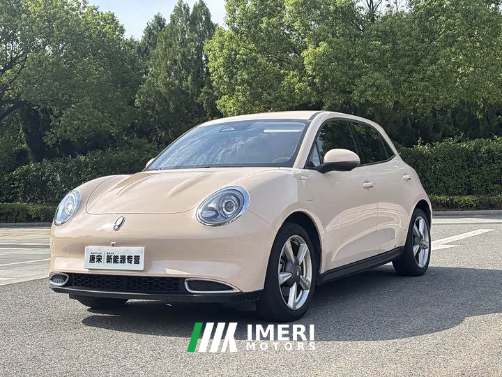 Ora 401kmStandard Range Luxury Version