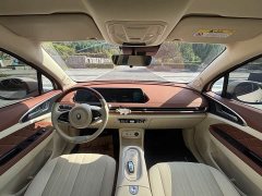 Ora 401kmStandard Range Luxury Version - фото 12