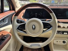 Ora 401kmStandard Range Luxury Version - фото 15