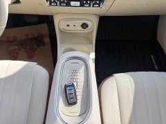 Ora 401kmStandard Range Luxury Version - фото 17