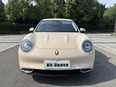 Ora 401kmStandard Range Luxury Version - фото 2