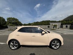 Ora 401kmStandard Range Luxury Version - фото 4