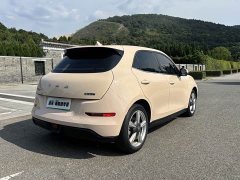 Ora 401kmStandard Range Luxury Version - фото 5