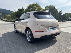 Ora 401kmStandard Range Luxury Version - фото 7