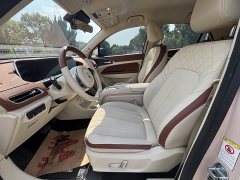 Ora 401kmStandard Range Luxury Version - фото 9