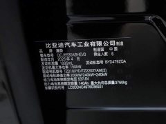 Denza N9 Flagship Version - фото 14