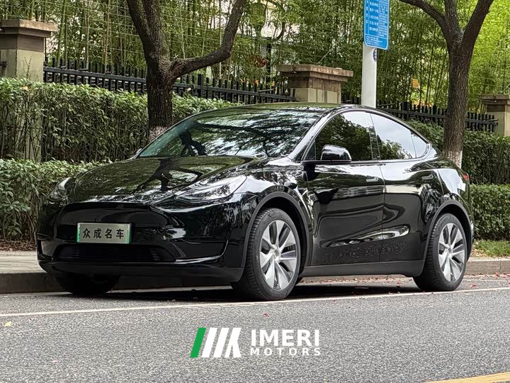 Tesla Model Y Edition - автомобиль из Китая