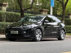 Tesla Model Y Edition - фото 1