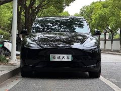 Tesla Model Y Edition - фото 2