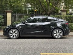 Tesla Model Y Edition - фото 3