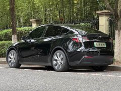 Tesla Model Y Edition - фото 4
