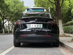 Tesla Model Y Edition - фото 5
