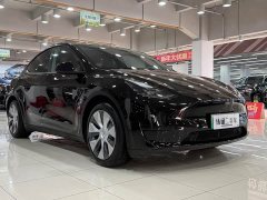 Tesla Model Y Edition - фото 2