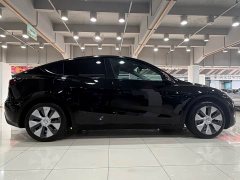 Tesla Model Y Edition - фото 4