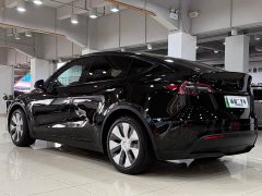 Tesla Model Y Edition - фото 6