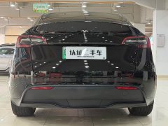 Tesla Model Y Edition - фото 7