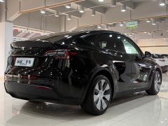 Tesla Model Y Edition - фото 8