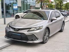 Xpeng 2.5G Luxury Edition - фото 1