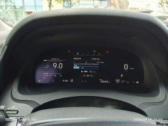 Xpeng 2.5G Luxury Edition - фото 4