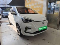 BYD E-Star Edition - фото 4