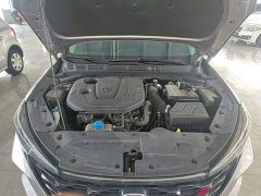 Changan PLUS NE 1.4T GDI DCTPremium Version - фото 20