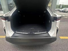 Lexus RZ 450e AWD Edition - фото 5