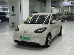 Wuling 333km - фото 1