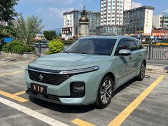 Baojun Valli 1.5T CVTFlagship Version - фото 1