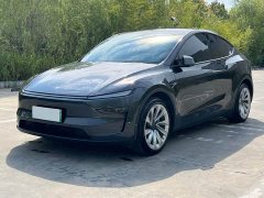 Tesla Model Y Long Range Edition - фото 1