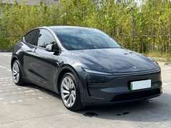 Tesla Model Y Long Range Edition - фото 3