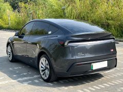 Tesla Model Y Long Range Edition - фото 7