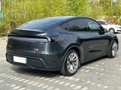Tesla Model Y Long Range Edition - фото 9