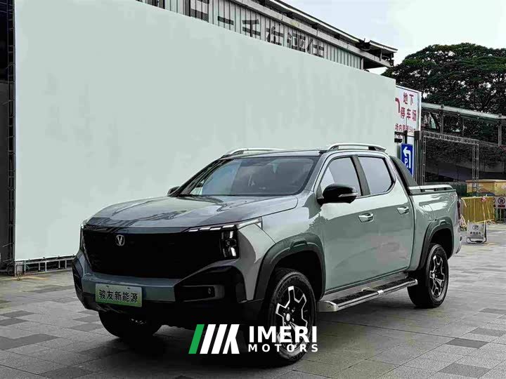 Changan Edition Version Single Motor - автомобиль из Китая