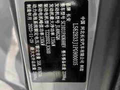 Changan Edition Version Single Motor - фото 16