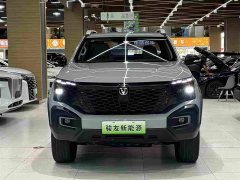 Changan Edition Version Single Motor - фото 2