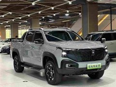 Changan Edition Version Single Motor - фото 3