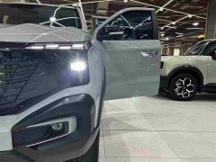 Changan Edition Version Single Motor - фото 7