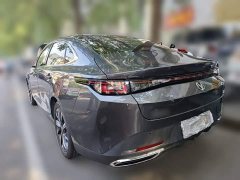Changan 1.5T 500BarPremium Version - фото 14