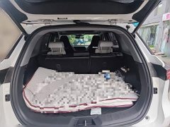 Changan CS75PLUS 1.5T Premium Version - фото 10